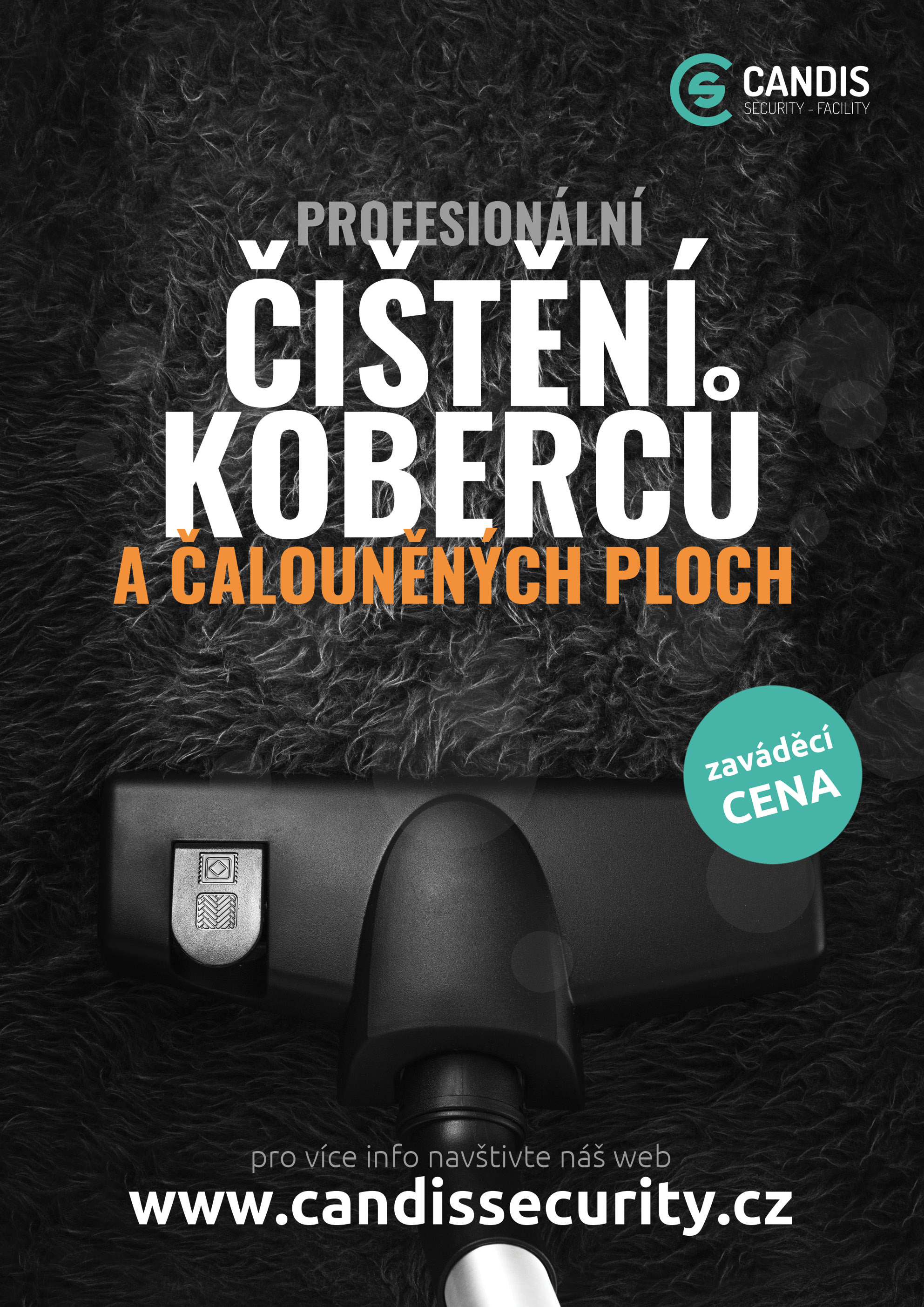 Profesionální čištění koberců a čalouněných ploch